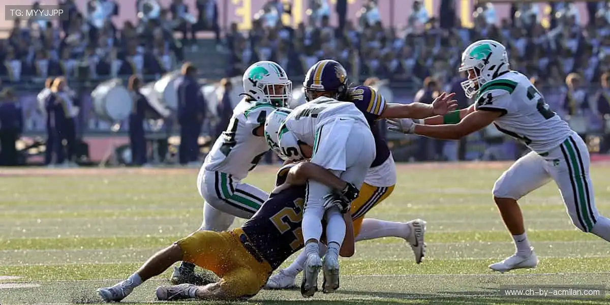 「全球赛事同步直播，超清画质 + 实时解说，让你身临其境！📺一键开启，激情无限！」