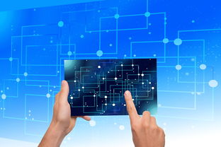 米兰体育中国官网-中国篮球青训体系教练员能力评估与发展规划，篮球教练员素养